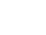 Virgin Mobile